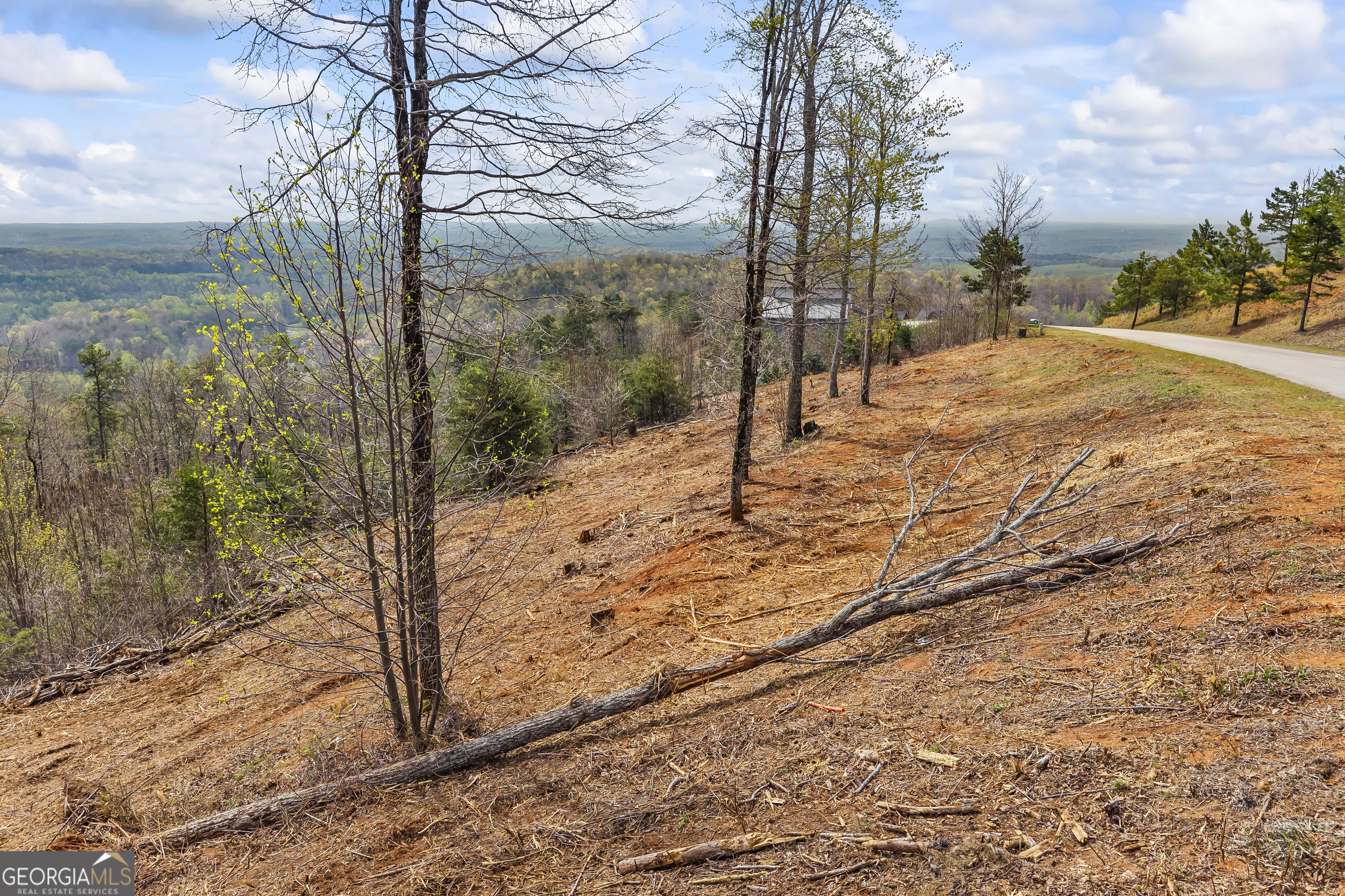 Lot 36 Mountain Ridge Drive Clarkesville GA 30523