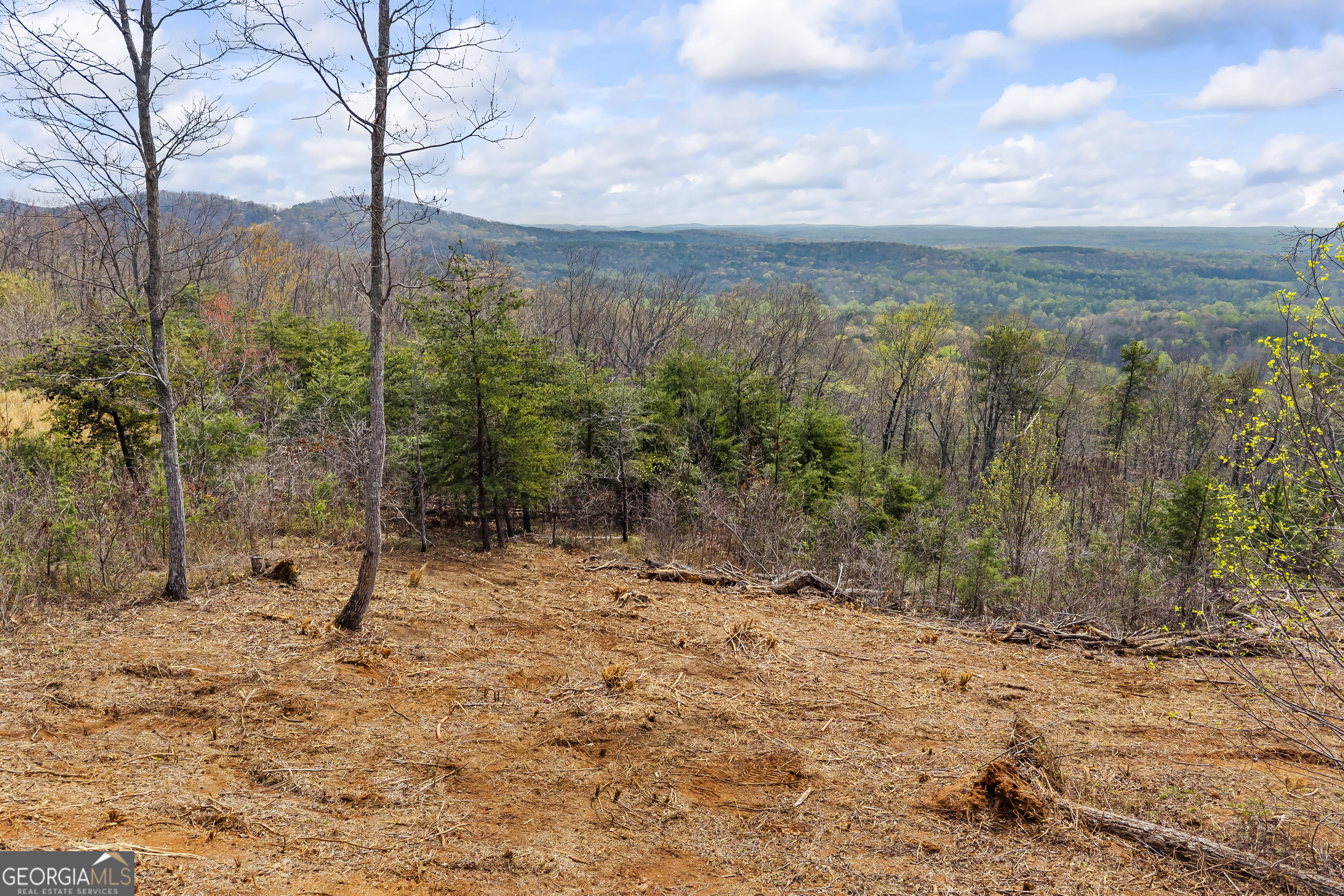Lot 36 Mountain Ridge Drive Clarkesville GA 30523