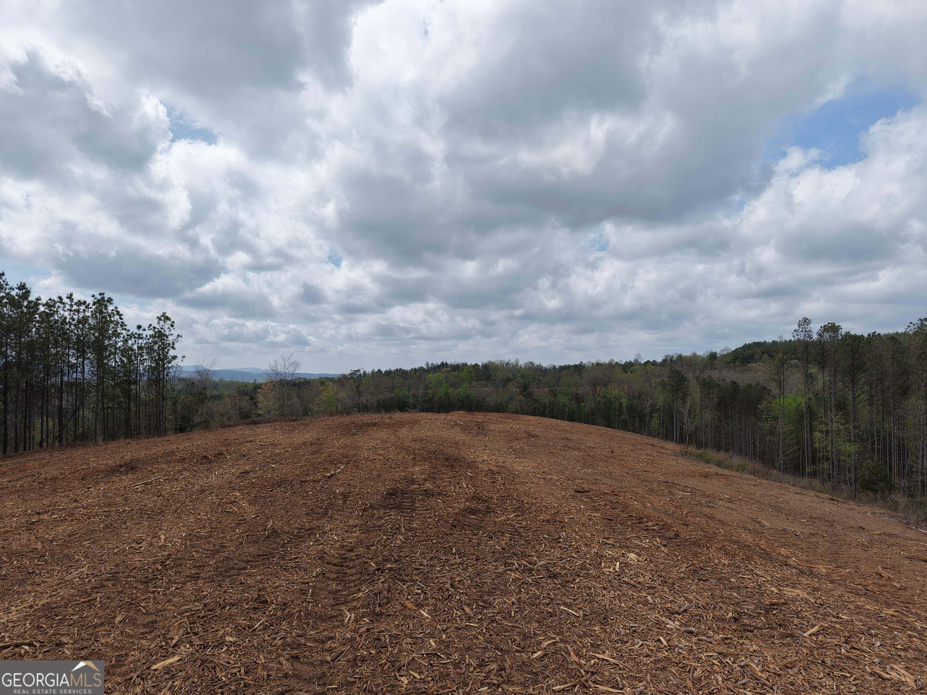 0 Young Loop Fairmount GA 30139