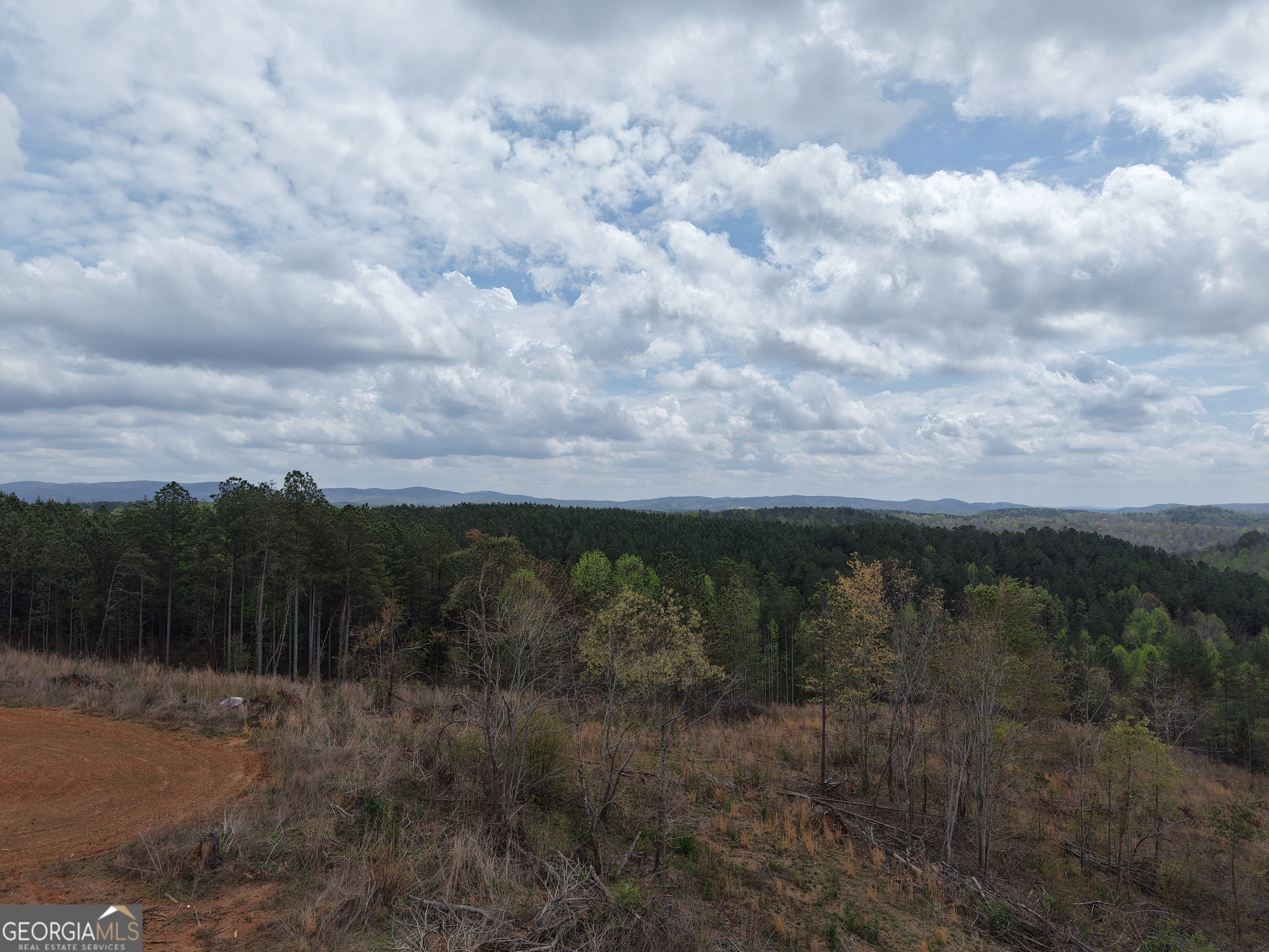 0 Young Loop Fairmount GA 30139