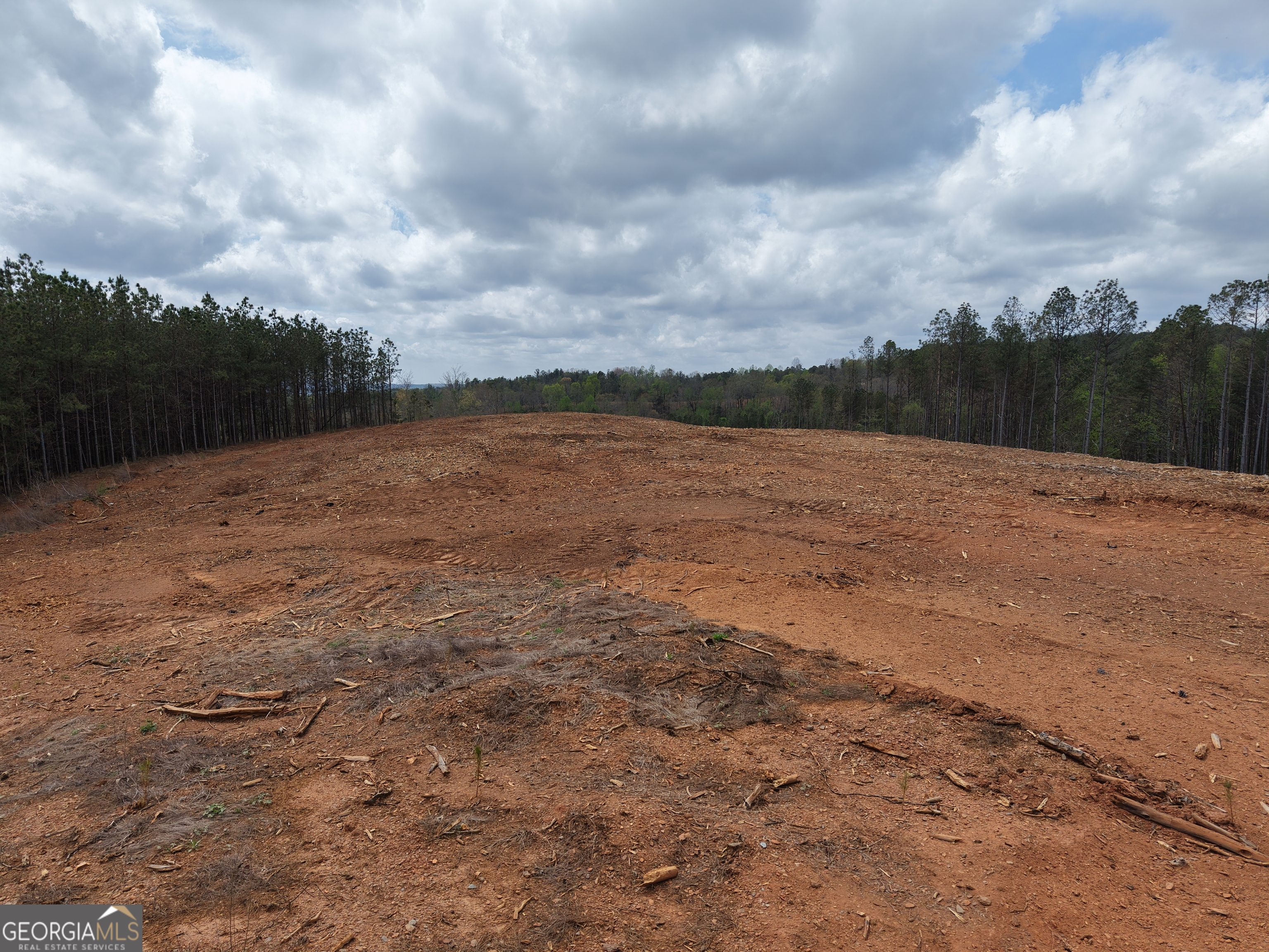 0 Young Loop Fairmount GA 30139