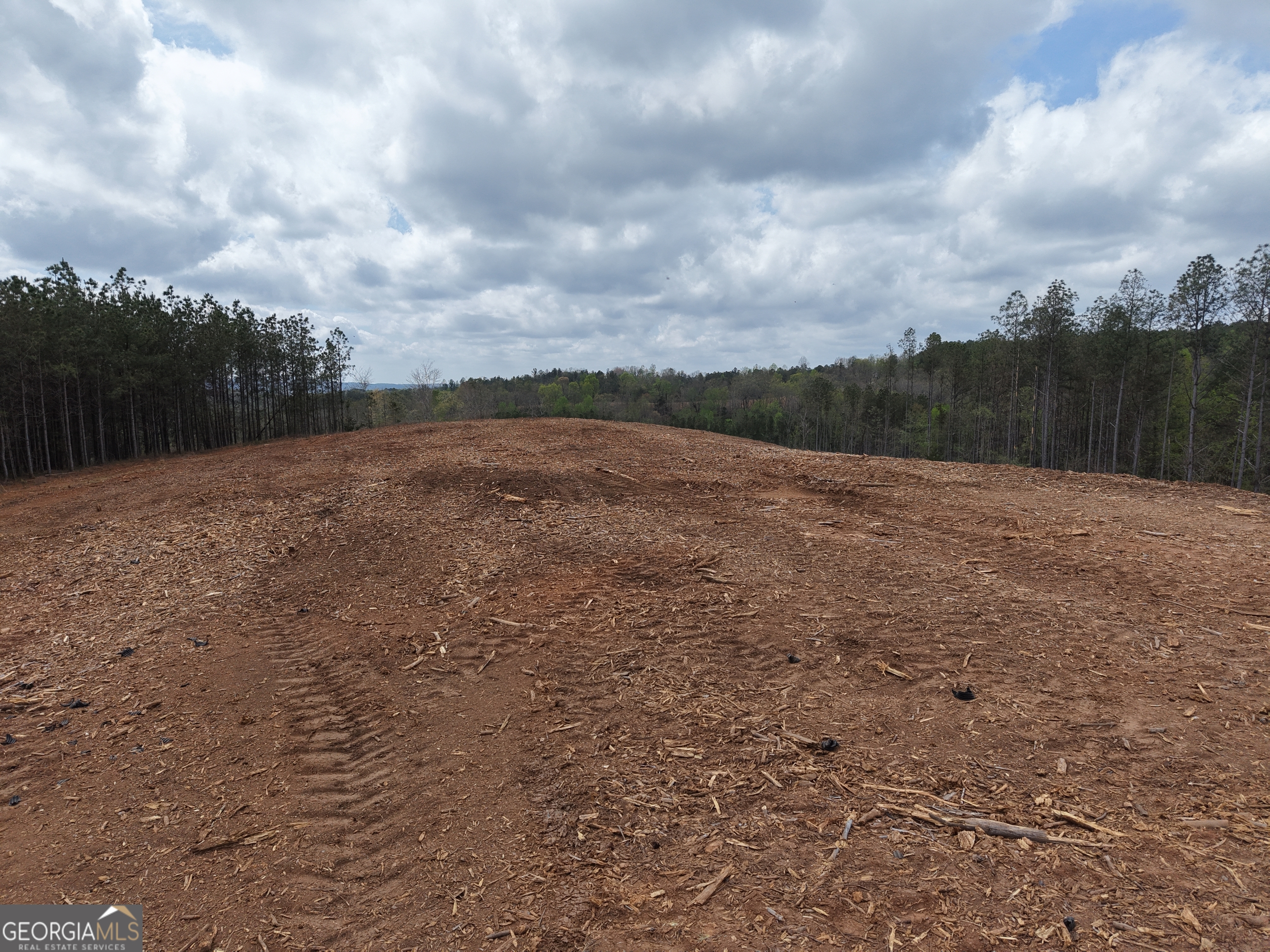 0 Young Loop Fairmount GA 30139