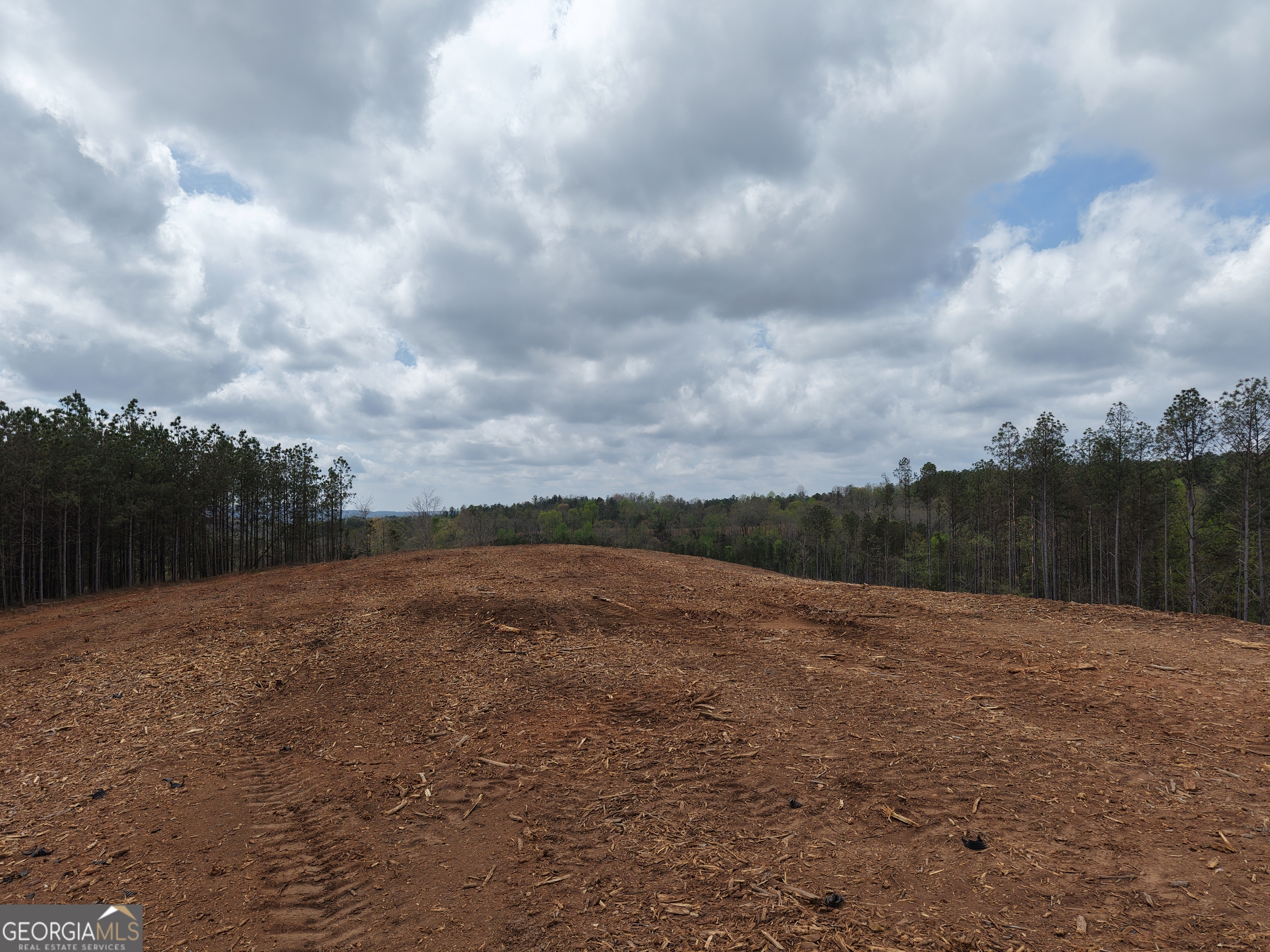0 Young Loop Fairmount GA 30139