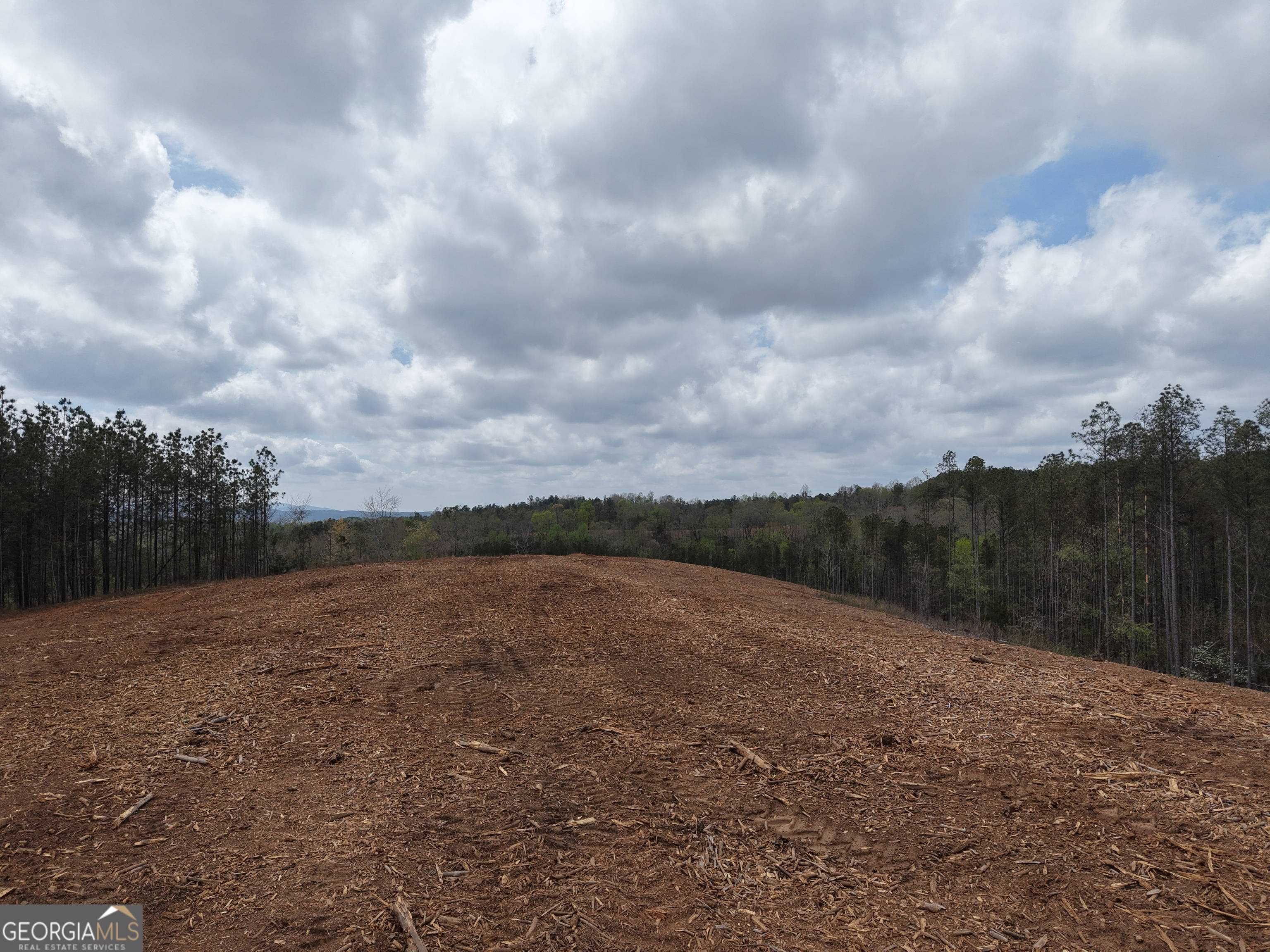 0 Young Loop Fairmount GA 30139
