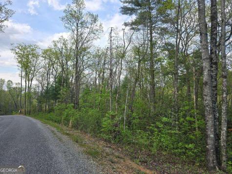 Lot 10 Kennedys Court Blairsville GA 30512