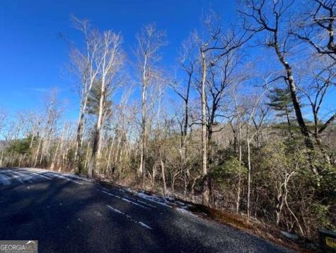 Lot 10 Kennedys Court Blairsville GA 30512