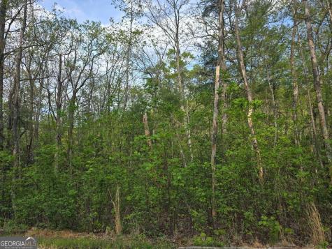 Lot 10 Kennedys Court Blairsville GA 30512