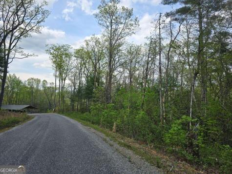 Lot 10 Kennedys Court Blairsville GA 30512