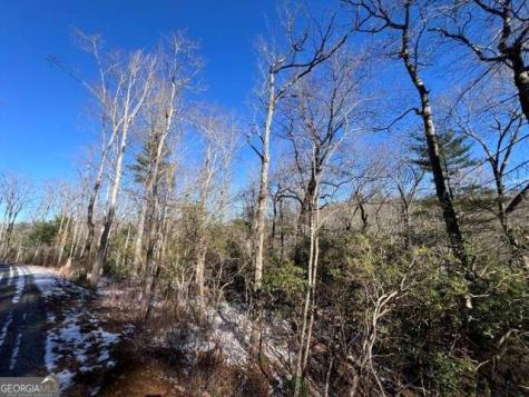 Lot 10 Kennedys Court Blairsville GA 30512