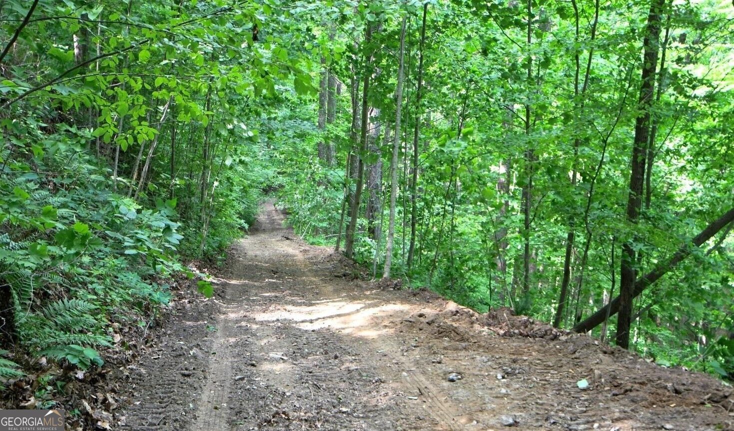 0 Fawn Ridge Rabun Gap GA 30568