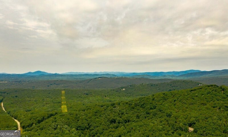 0 Holland Pippin Drive Clarkesville GA 30523