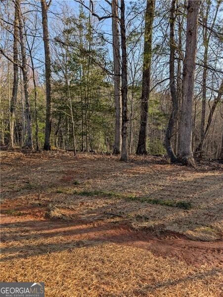 0 Yahoola Road Dahlonega GA 30533