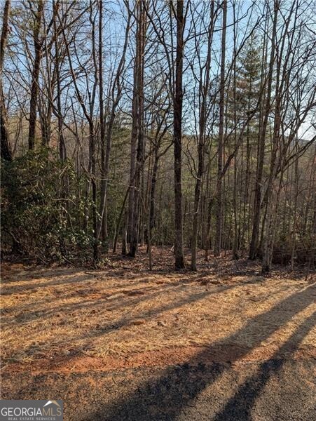 0 Yahoola Road Dahlonega GA 30533