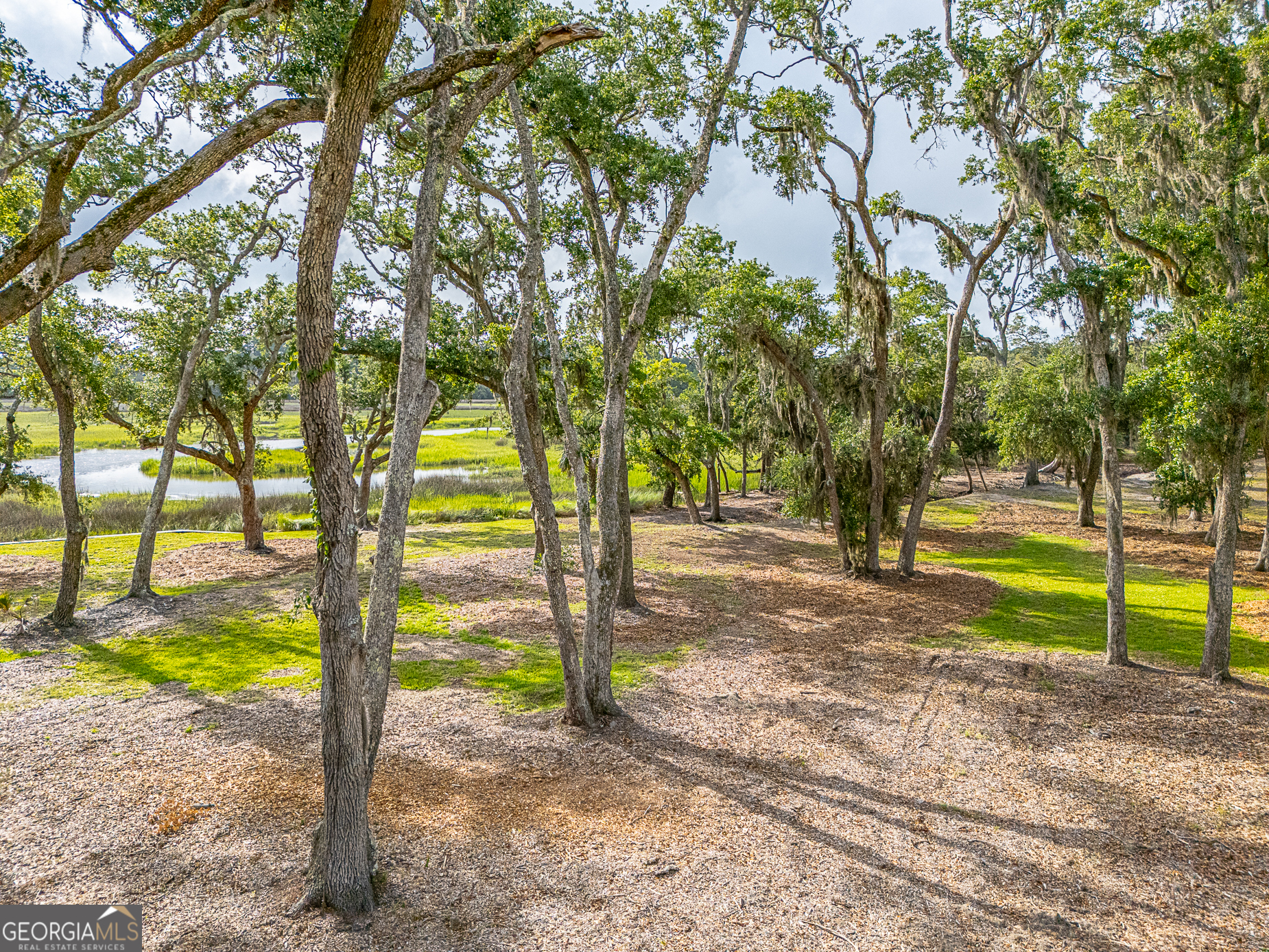 24 Carriage Drive St. Simons Island GA 31522