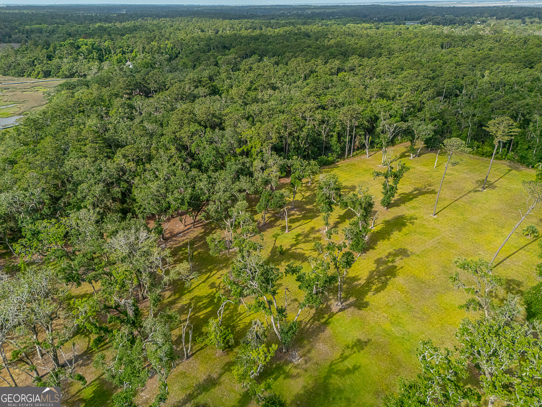 24 Carriage Drive St. Simons Island GA 31522