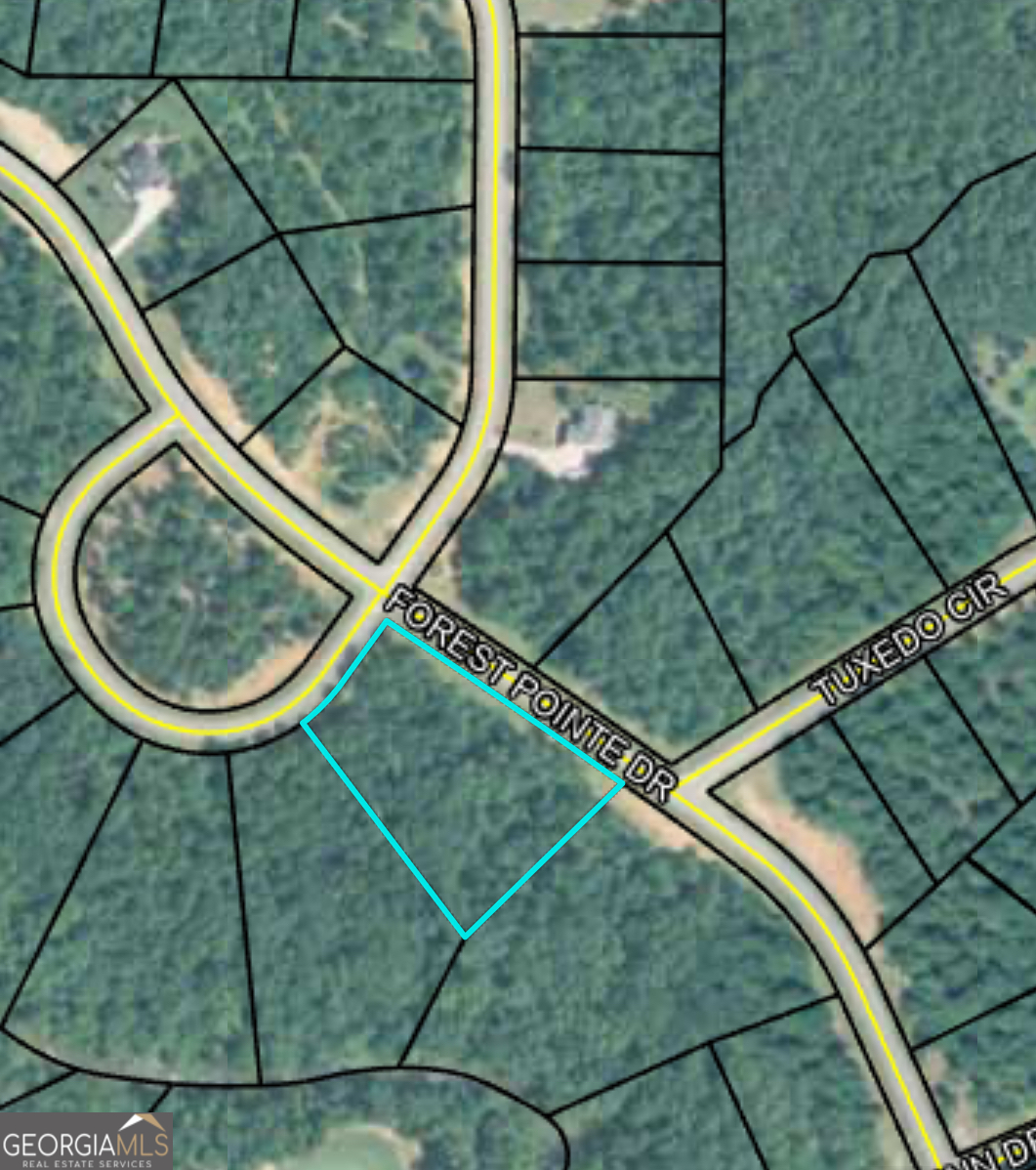 207 Forest Pointe Drive Forsyth GA 31029