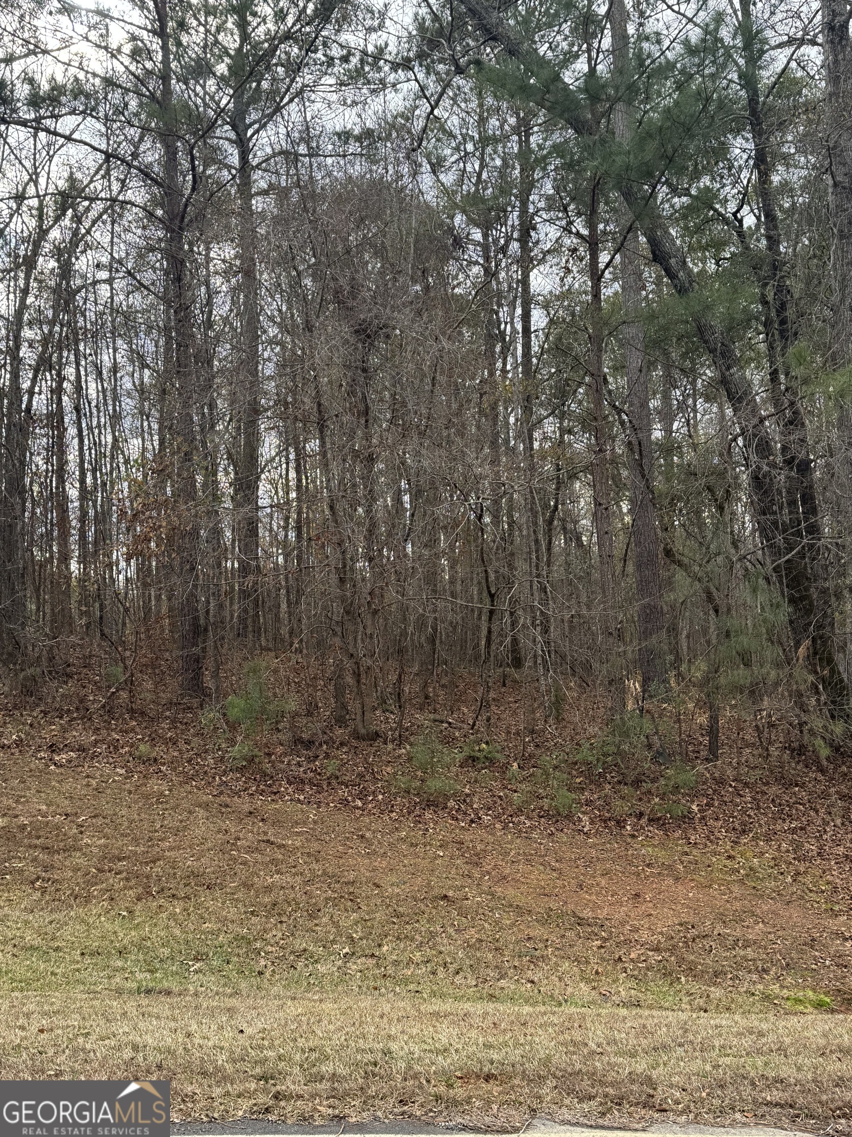 207 Forest Pointe Drive Forsyth GA 31029