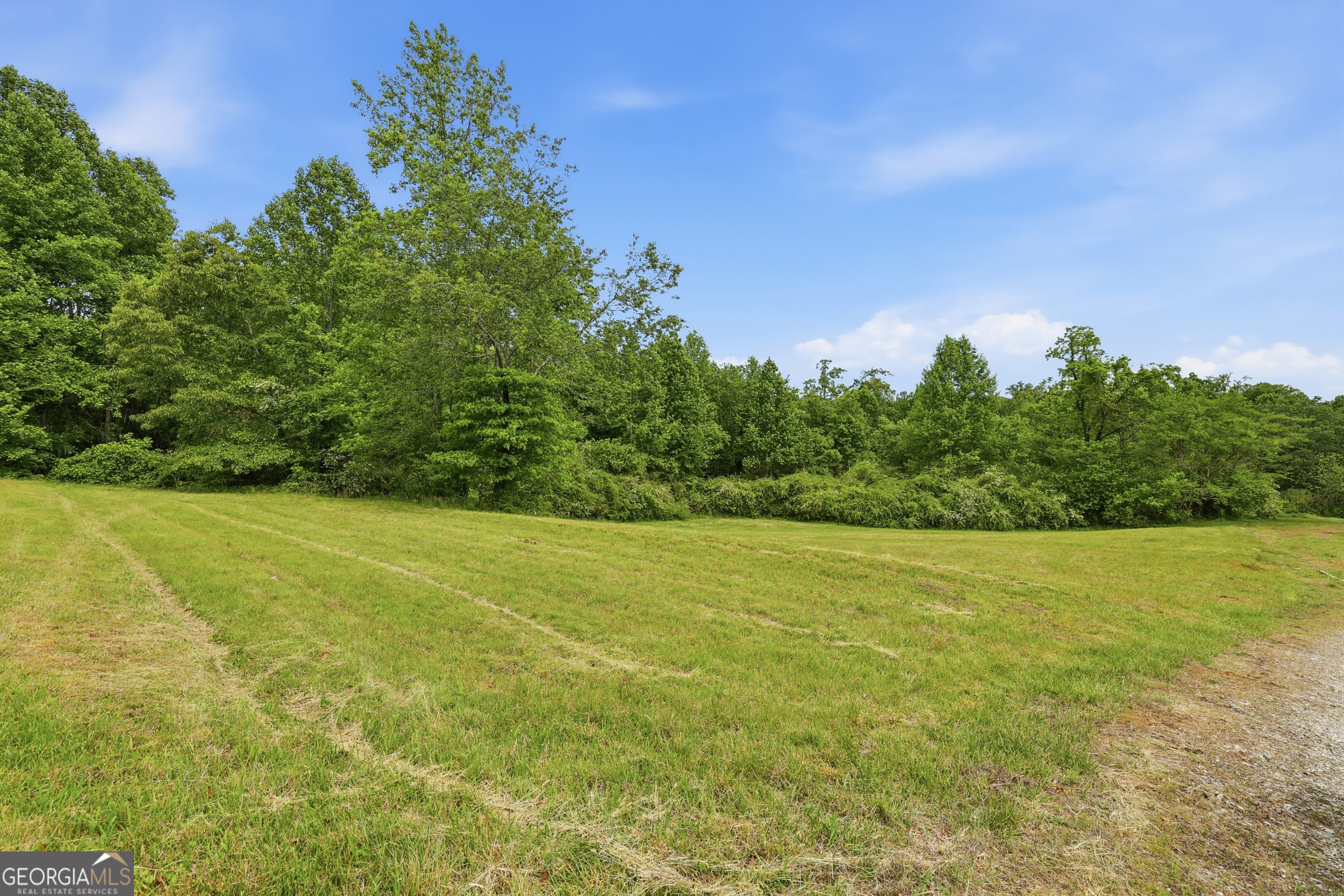 2558 Stonepile Road Clarkesville GA 30523