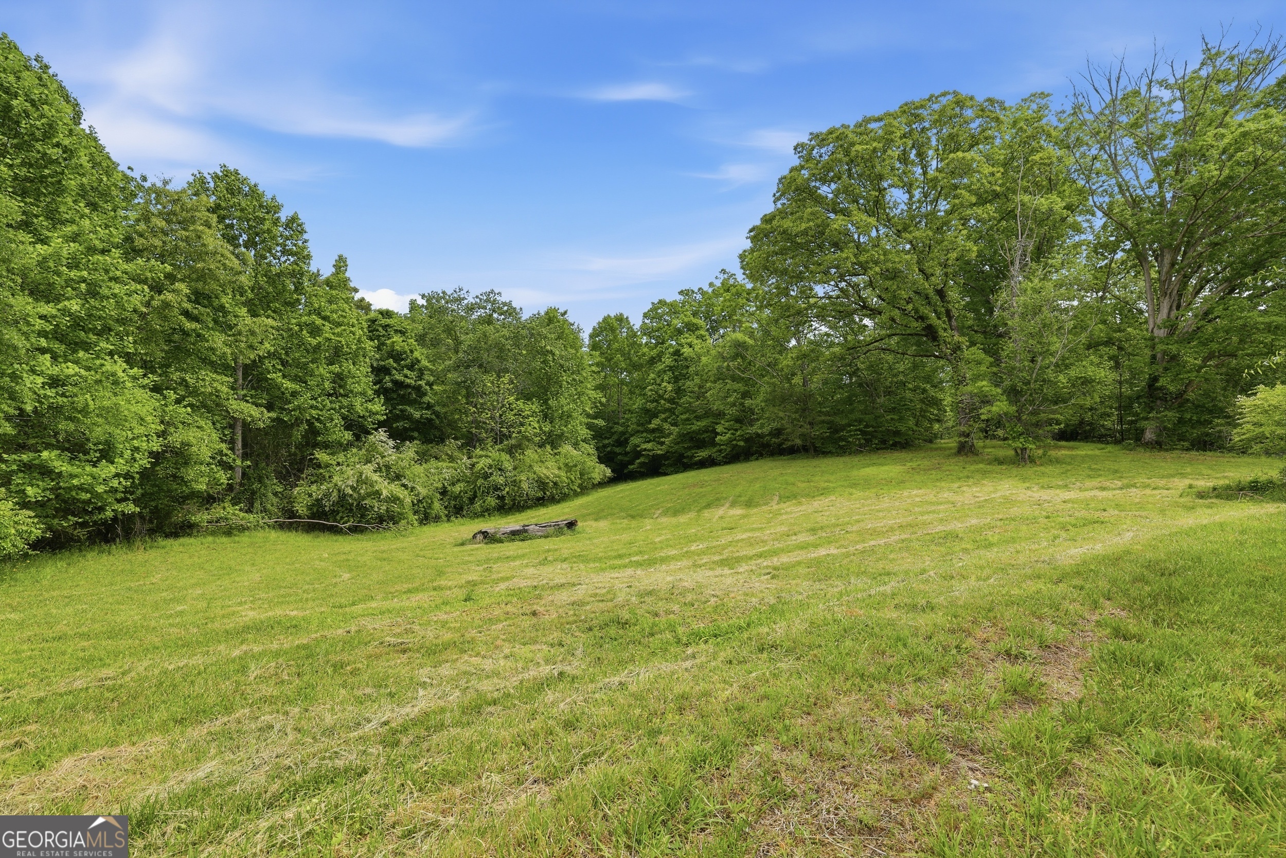 2558 Stonepile Road Clarkesville GA 30523