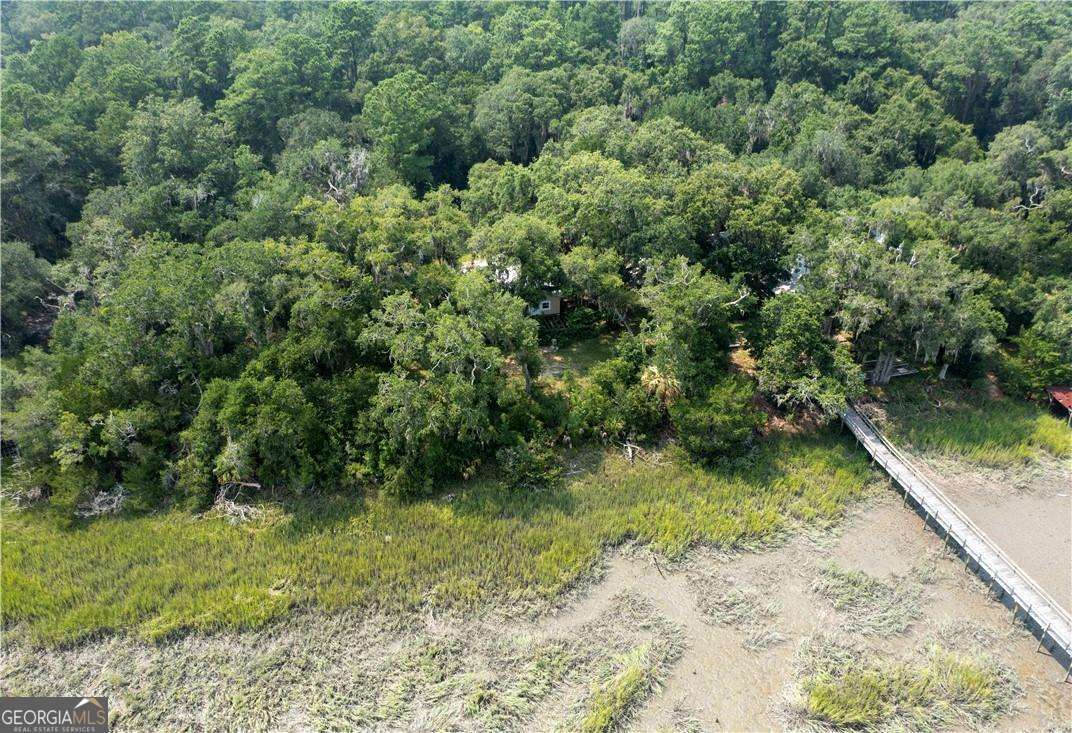 1304 Old Smokey Road Crescent GA 31304
