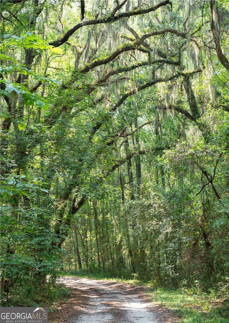 1304 Old Smokey Road Crescent GA 31304