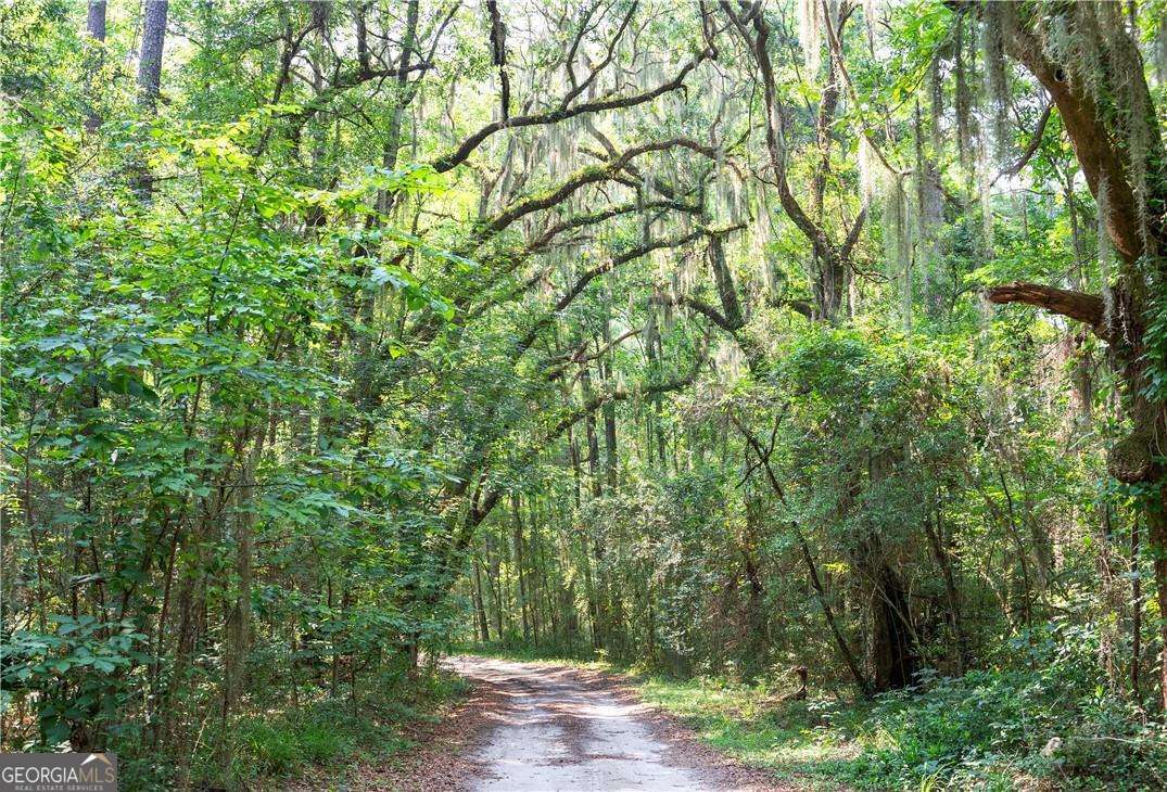1304 Old Smokey Road Crescent GA 31304
