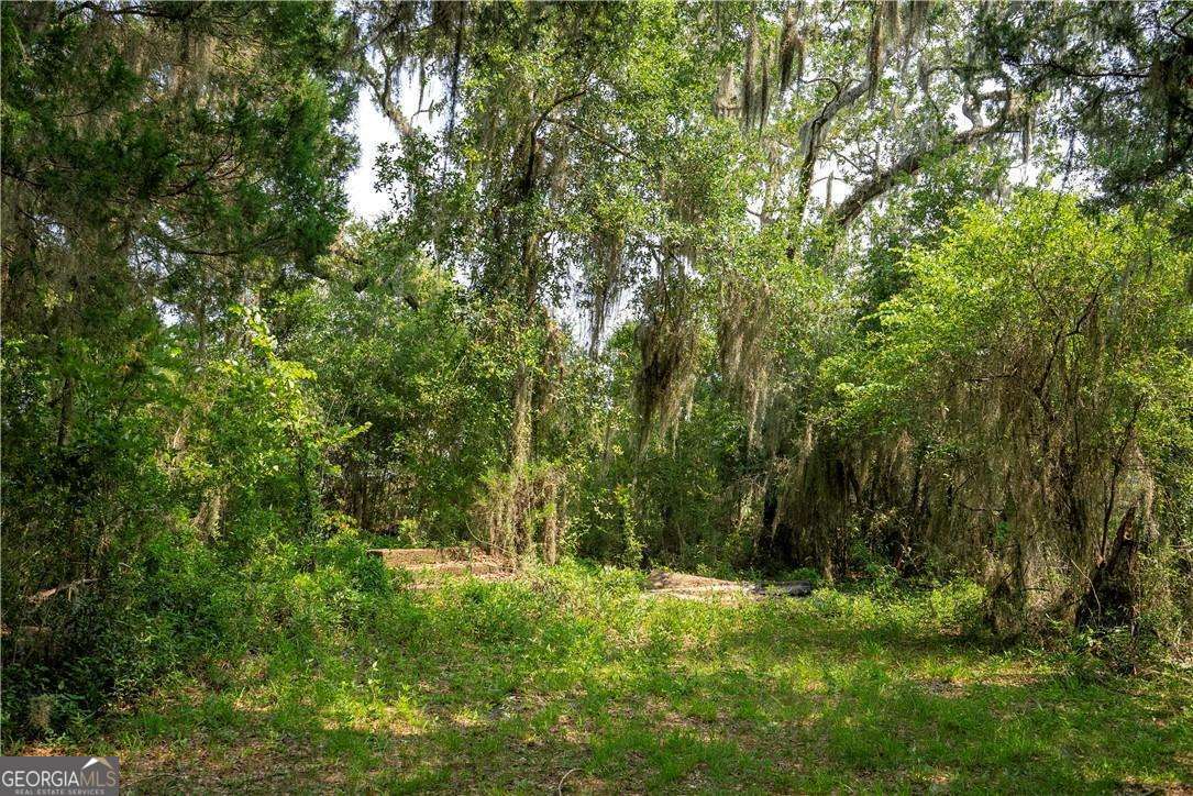 1304 Old Smokey Road Crescent GA 31304