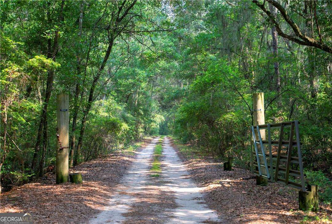 1304 Old Smokey Road Crescent GA 31304