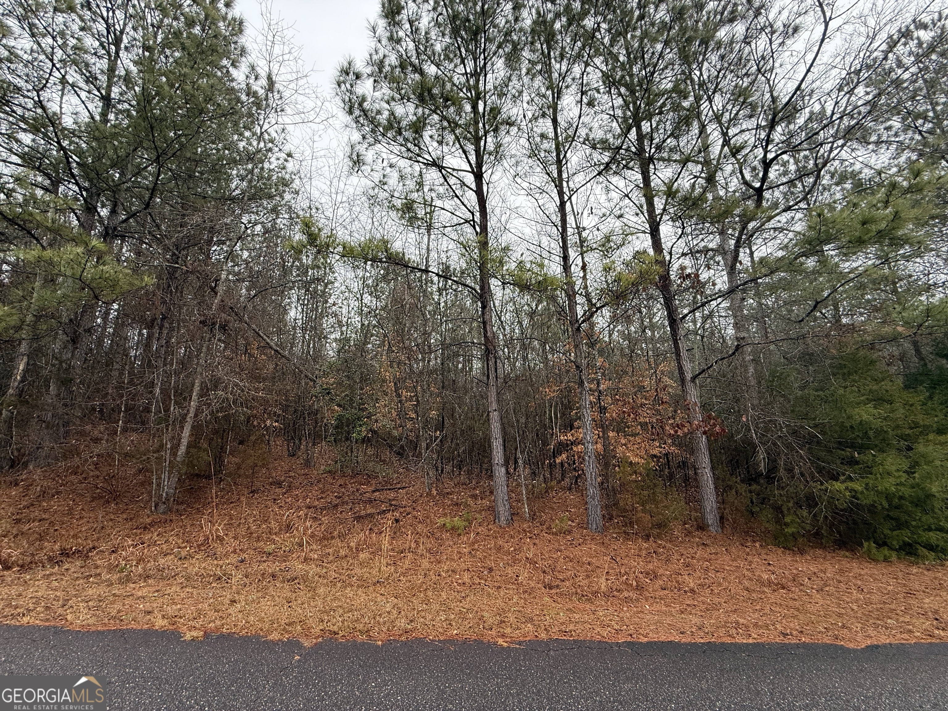 2592 Omaha Drive Elberton GA 30635