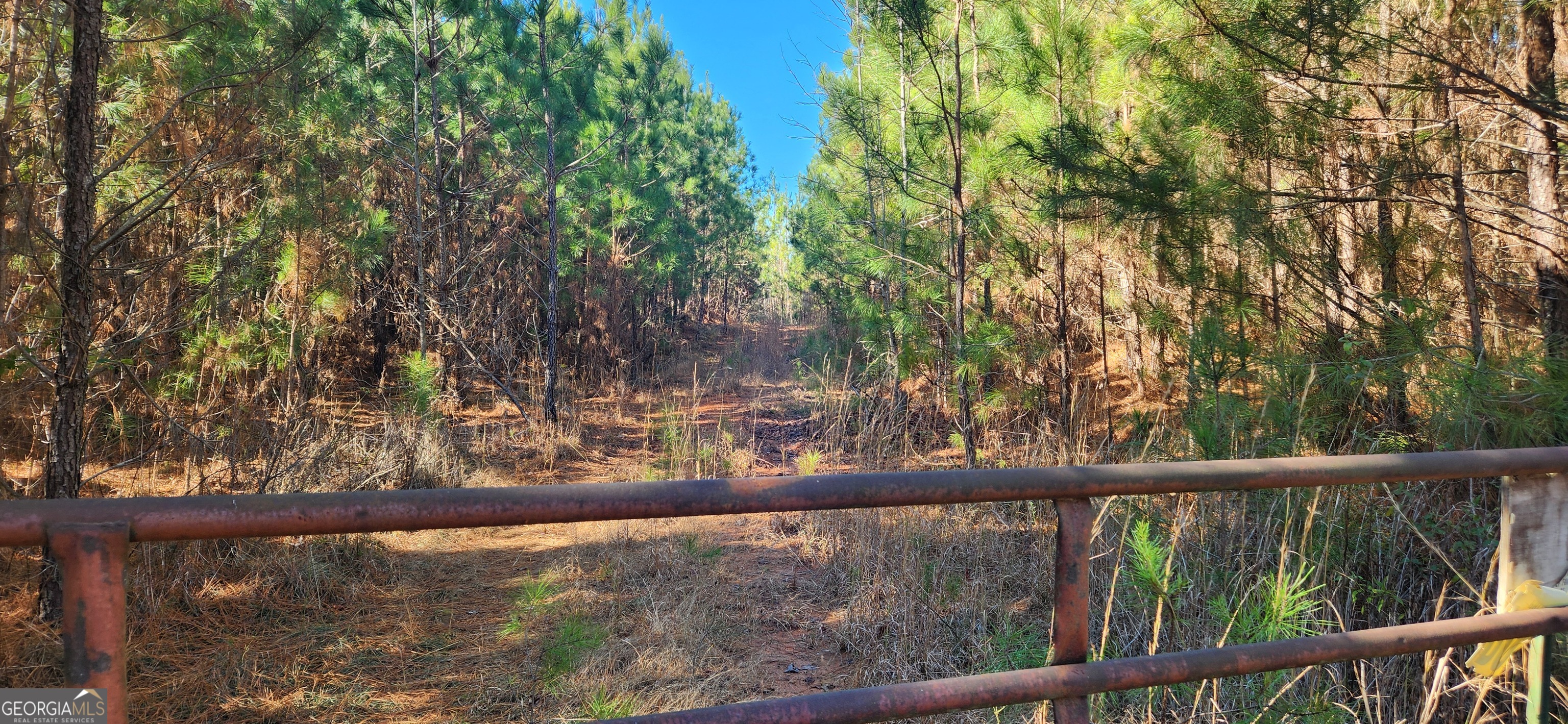0 Jaudon Road Elberton GA 30635