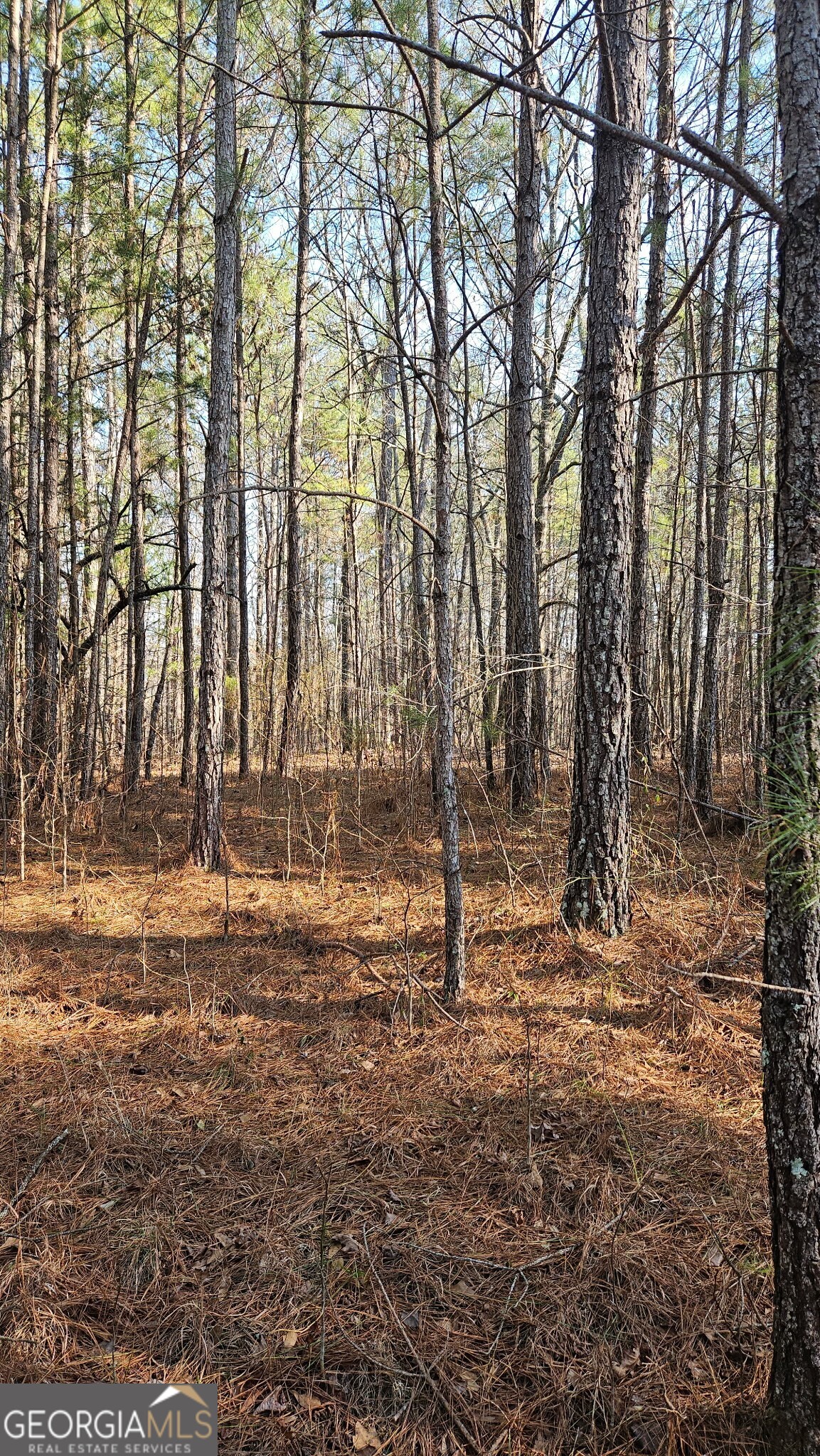 0 Old Zebulon Road Zebulon GA 30295
