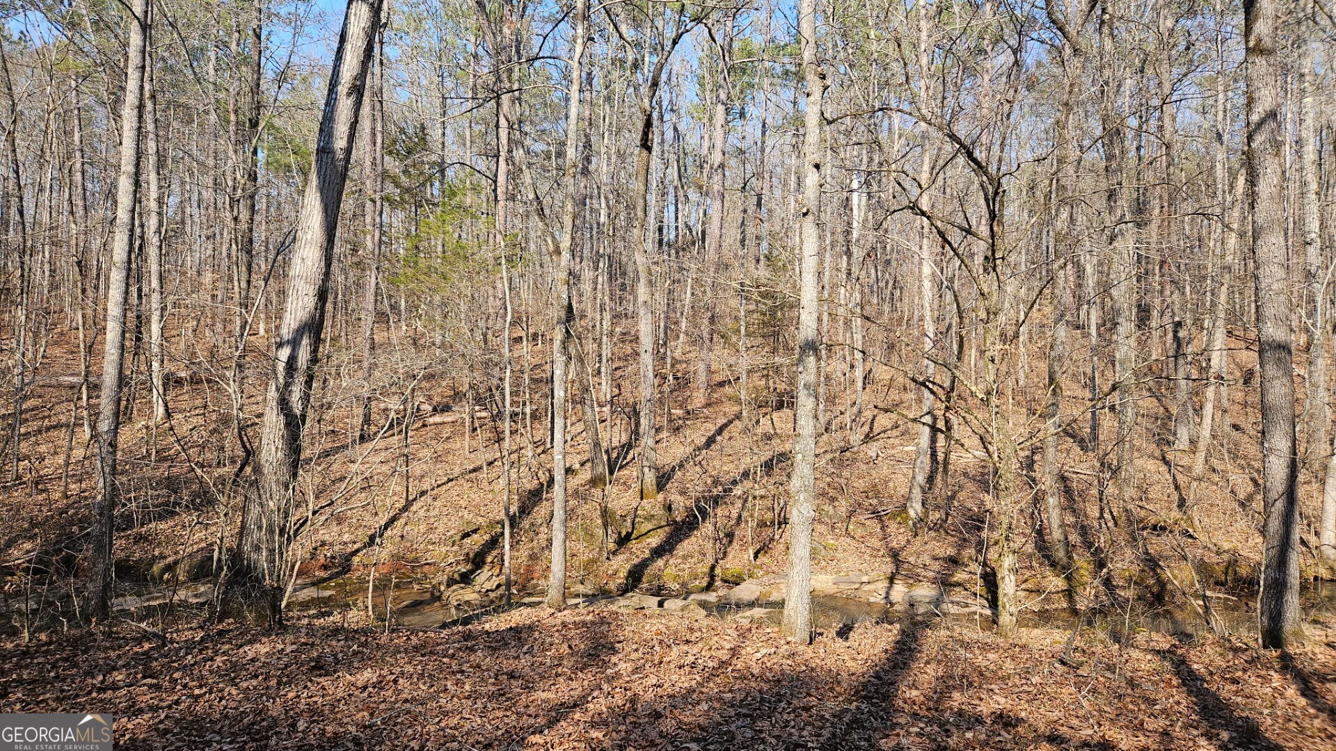 0 Old Zebulon Road Zebulon GA 30295