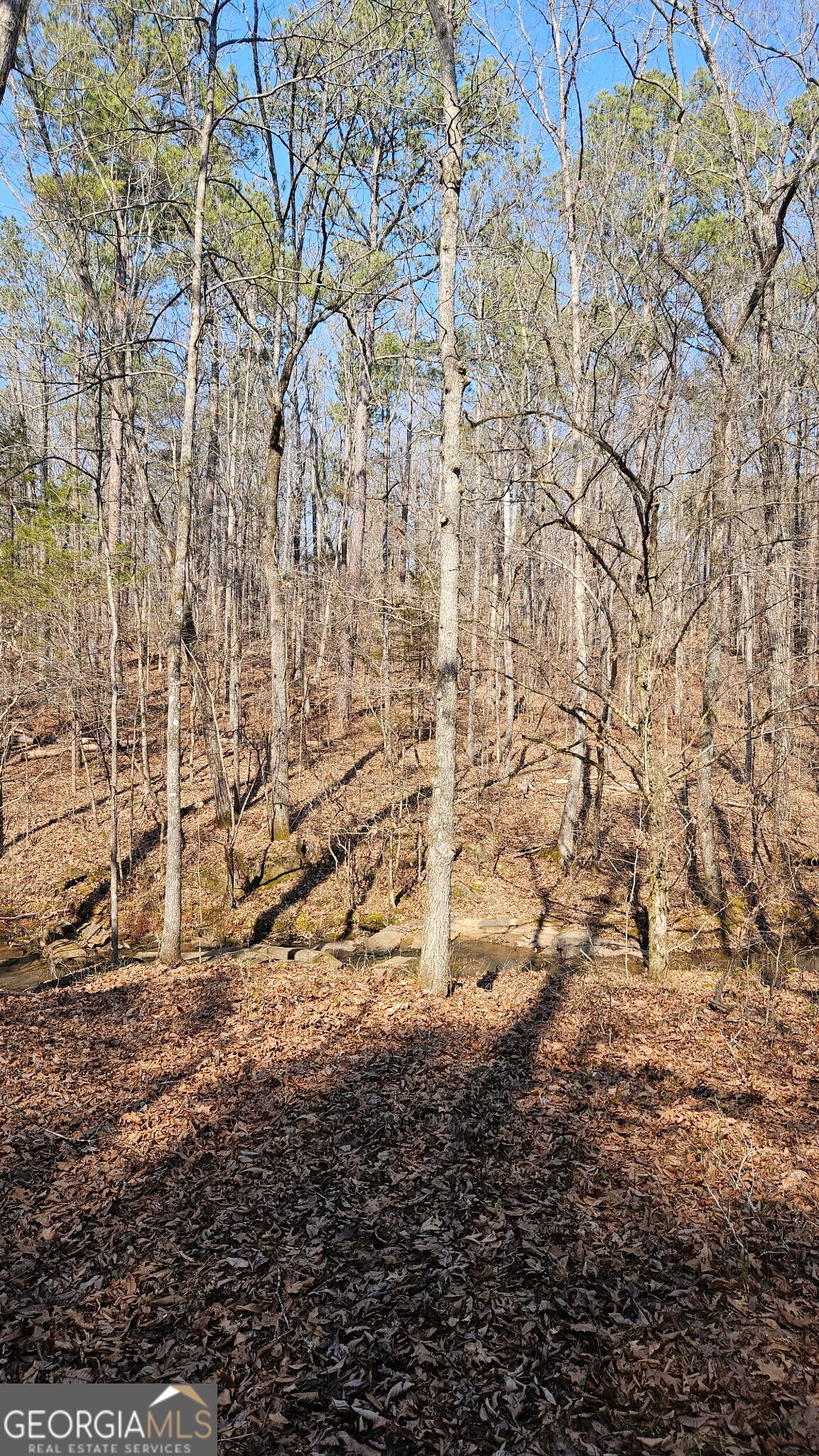 0 Old Zebulon Road Zebulon GA 30295