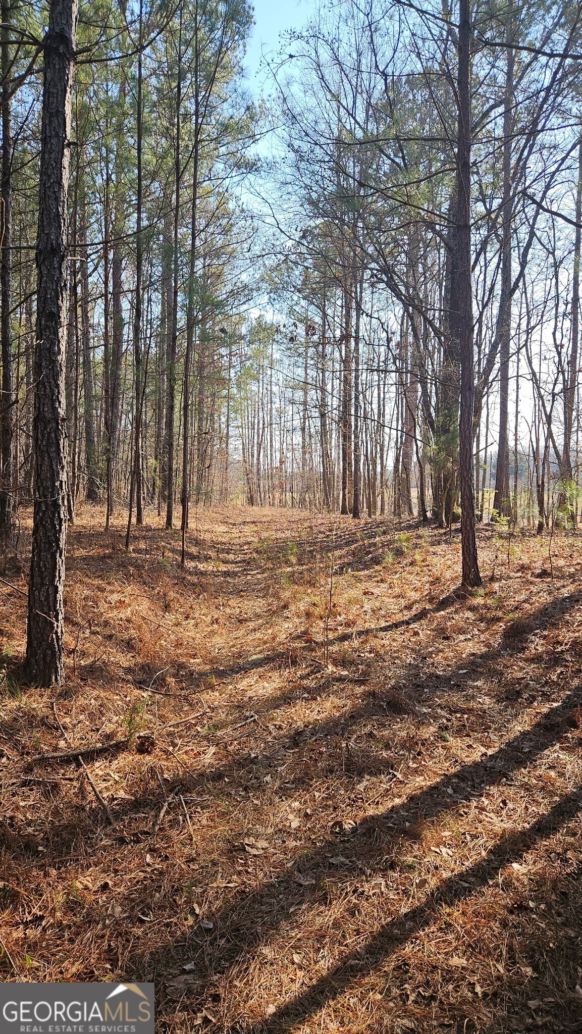 0 Old Zebulon Road Zebulon GA 30295