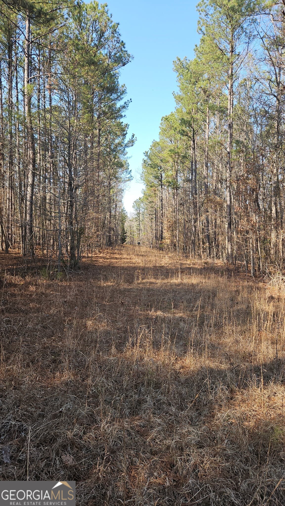 0 Old Zebulon Road Zebulon GA 30295