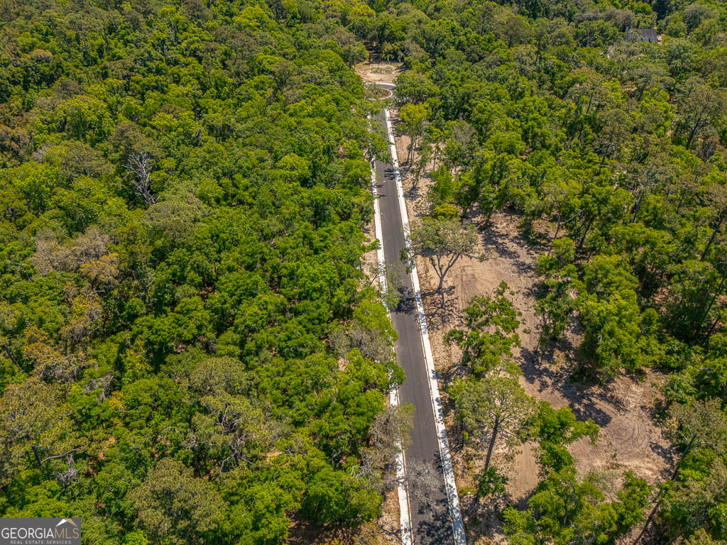 128 Canopy Lane St. Simons Island GA 31522