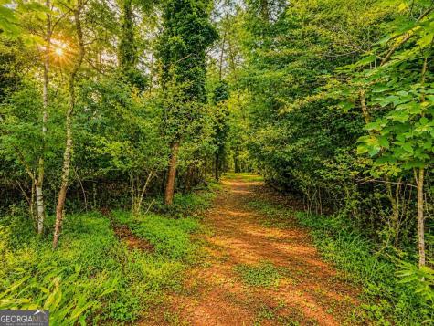 7E Lake Nottely Drive Blairsville GA 30512