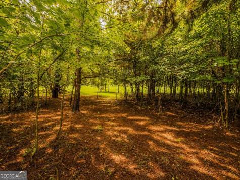 7E Lake Nottely Drive Blairsville GA 30512