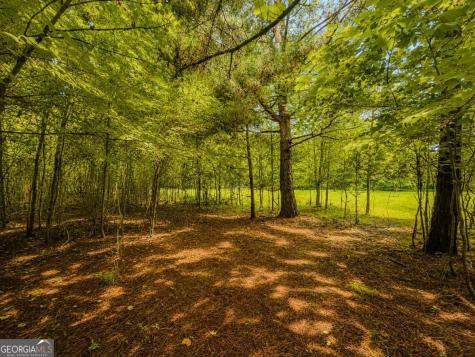 7E Lake Nottely Drive Blairsville GA 30512