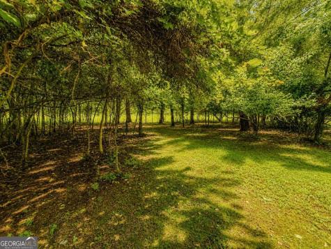 7E Lake Nottely Drive Blairsville GA 30512