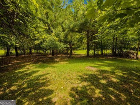7E Lake Nottely Drive Blairsville GA 30512
