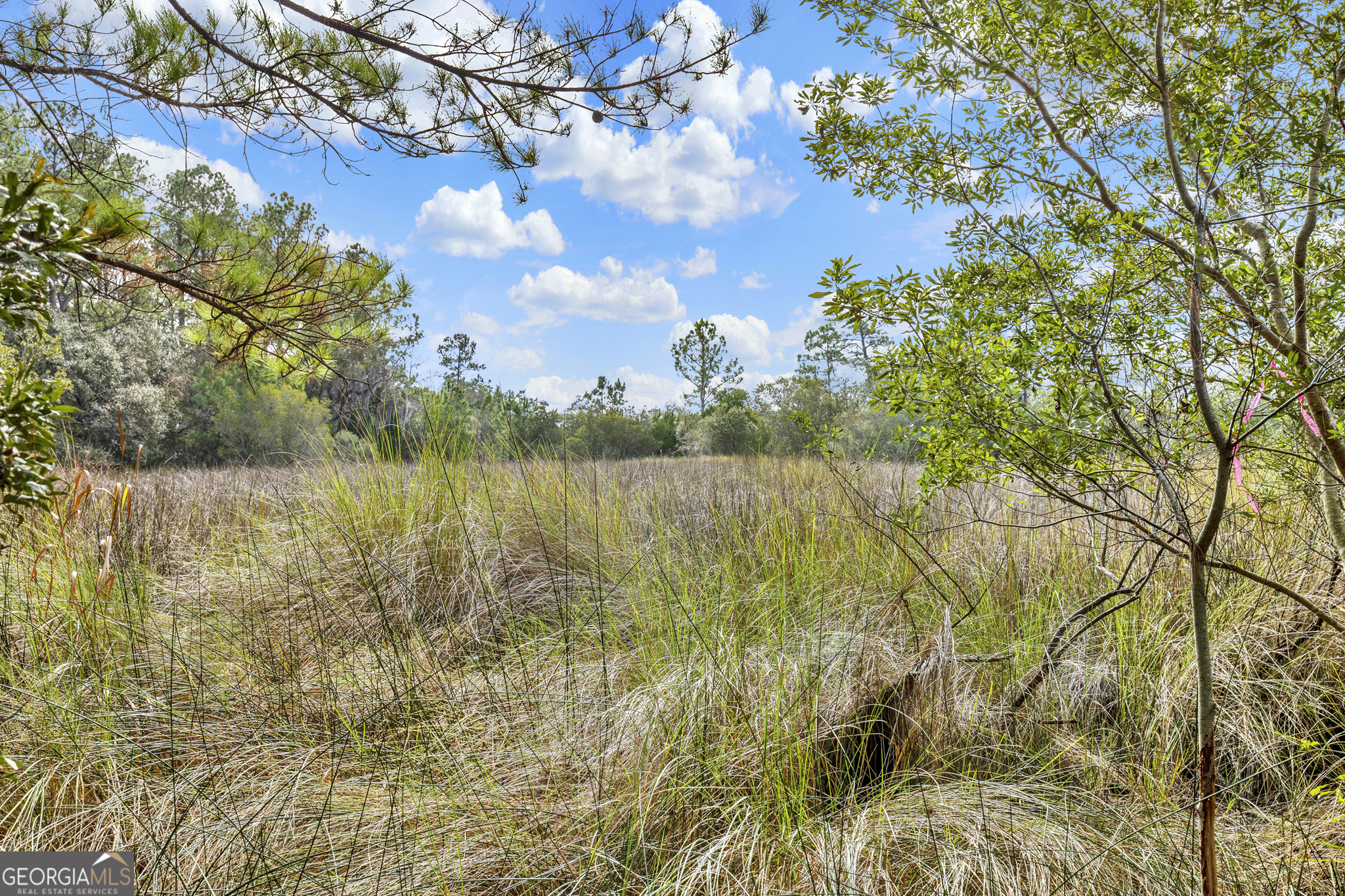 193 Burton Road Savannah GA 31405