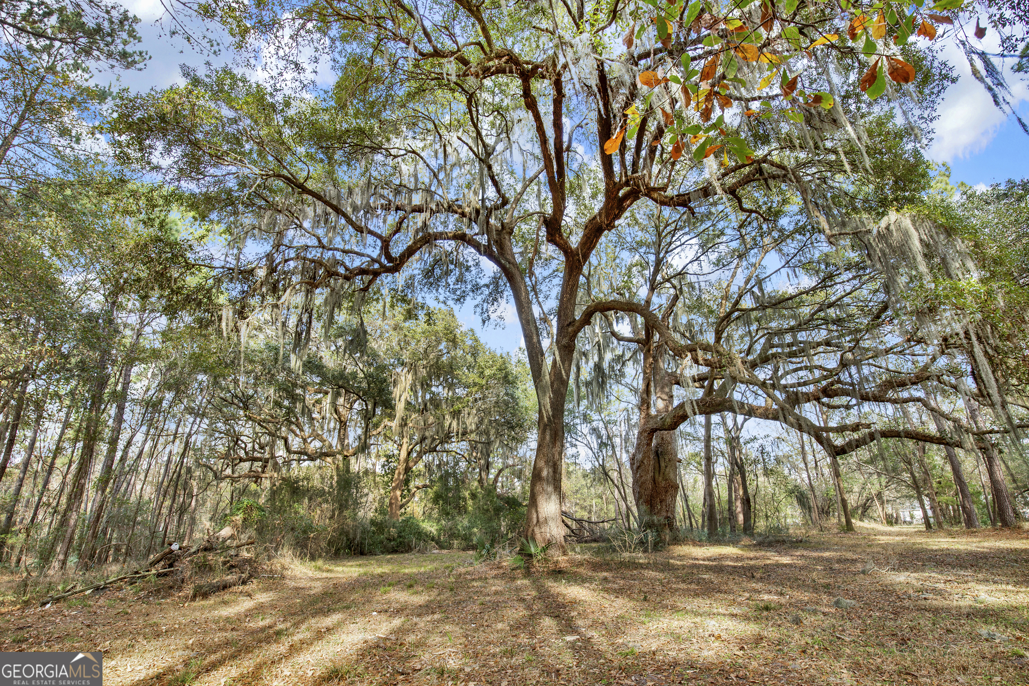 193 Burton Road Savannah GA 31405