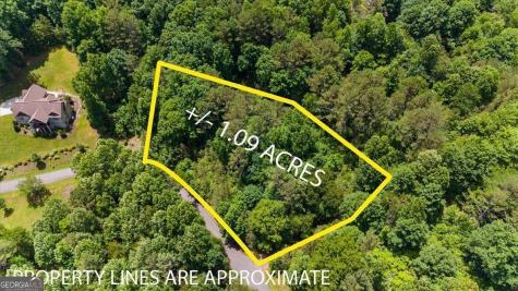 Lot 60 Meadow Brooke Drive Young Harris GA 30582