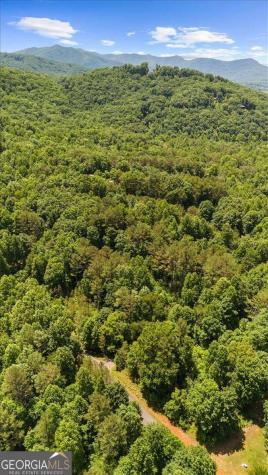 Lot 60 Meadow Brooke Drive Young Harris GA 30582
