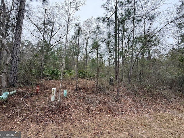 V/l 104 Satilla River Landing Woodbine GA 31569