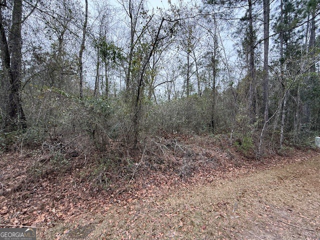 V/l 104 Satilla River Landing Woodbine GA 31569