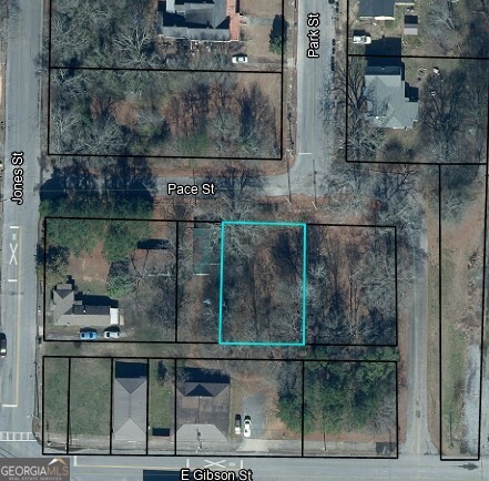 0 Pace Street Cedartown GA 30125