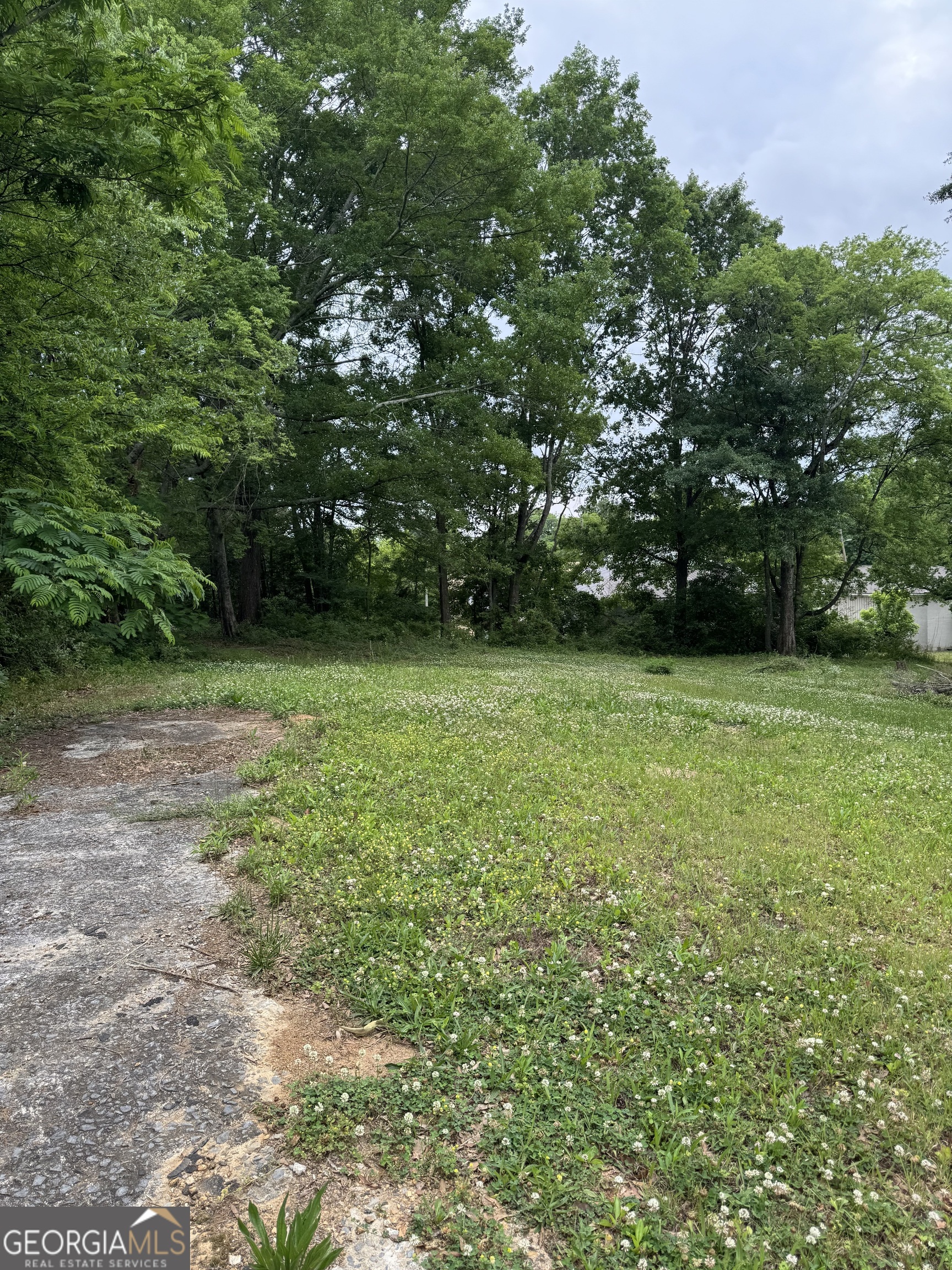 0 Pace Street Cedartown GA 30125