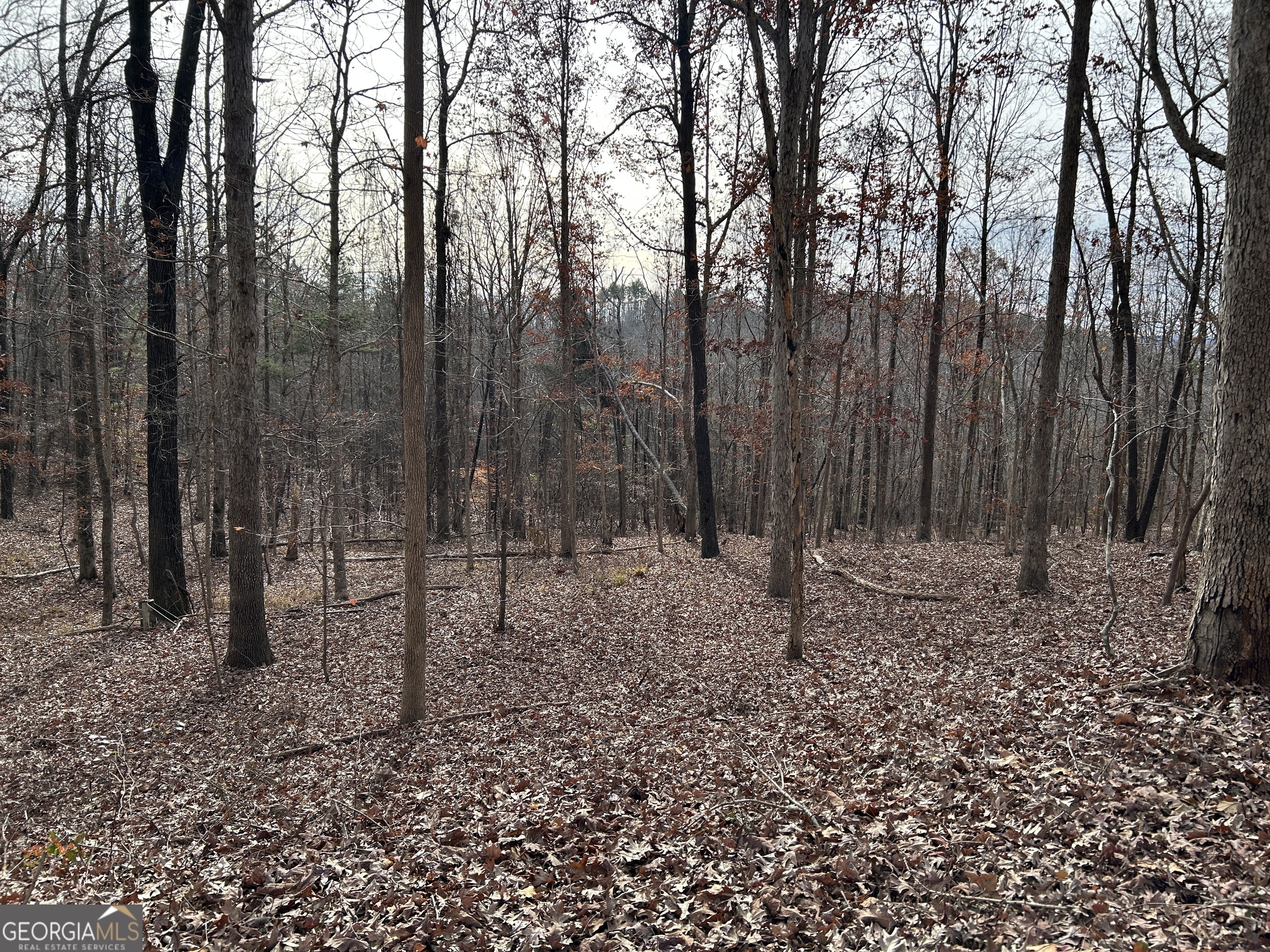 0 Highway 105 Baldwin GA 30511
